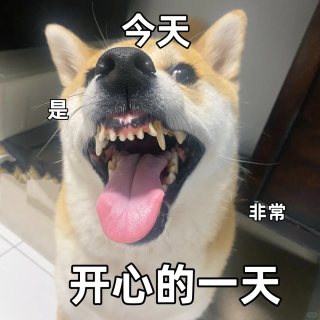 大阳城43335集团娱乐